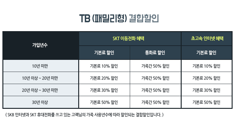 인터넷사이다 - SK브로드밴드, TB(패밀리형) 결합할인