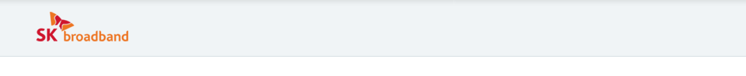 인터넷사이다 - SK인터넷, SK브로드밴드 broadband 방송 인터넷 요금 상세정보